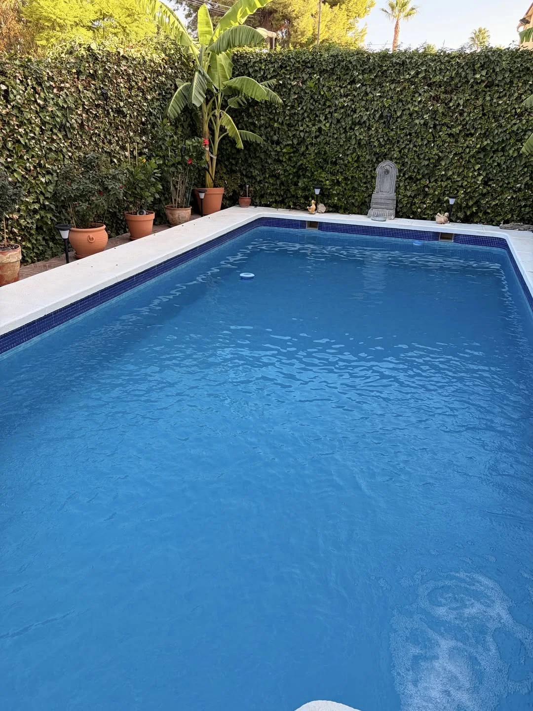 Piscina rectangular de borde claro y agua azul, junto a un jardín de setos y macetas.