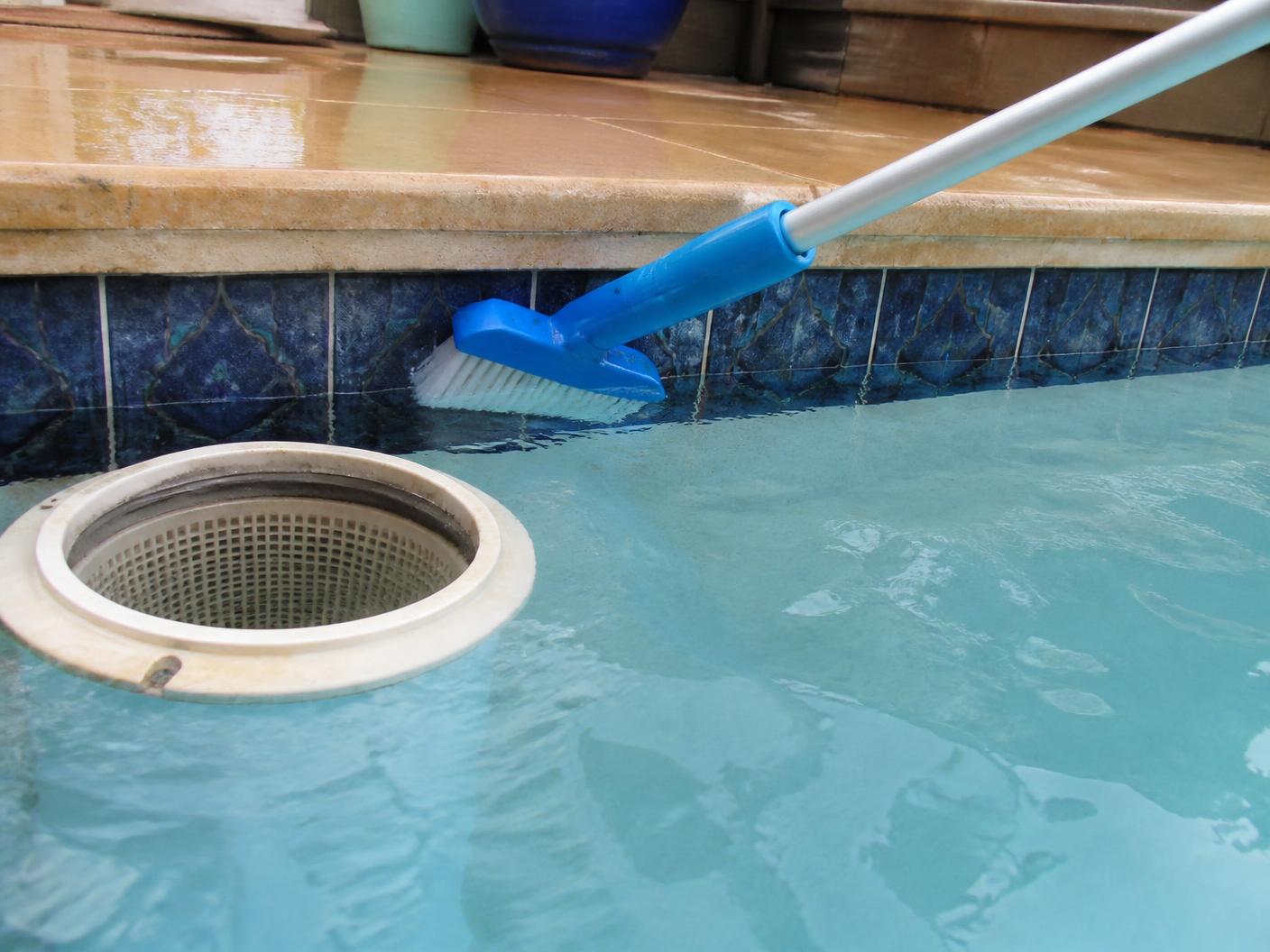 Cepillado de la línea de flotación de una piscina residencial junto al skimmer